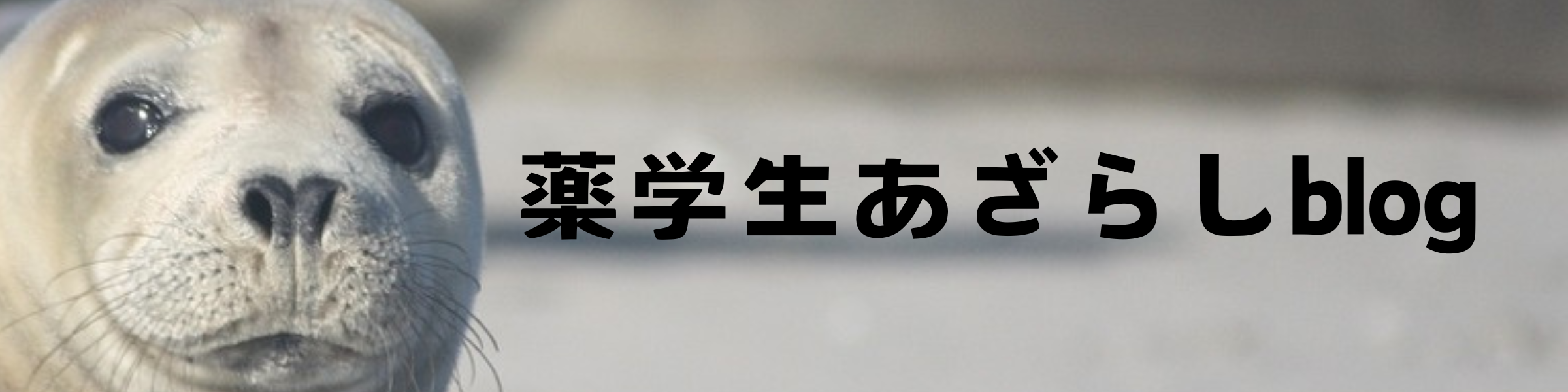 薬学生あざらしblog